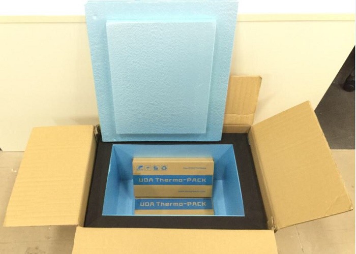 Freezing Delivery Cold Chain Solutions Hard Shell PE plastic Gel Ice