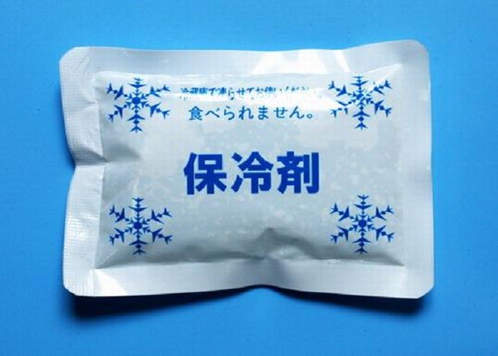 Nylon Lunch 6 Instant Cold Pack Insulated Extra Large Cooler Bag For